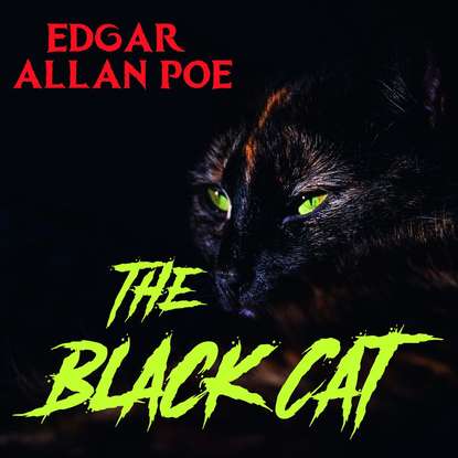 Скачать книгу The Black Cat