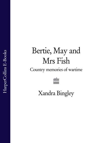 Скачать книгу Bertie, May and Mrs Fish