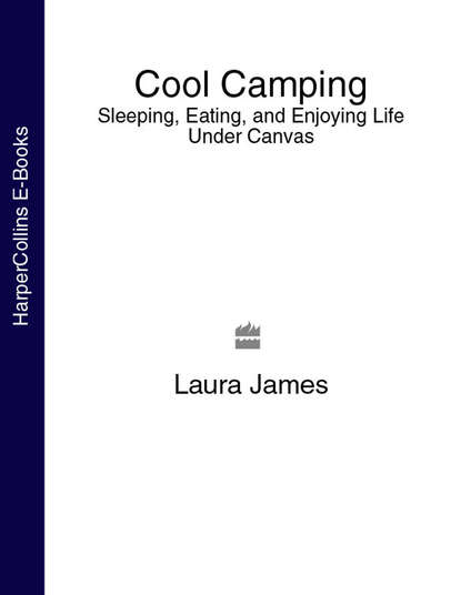 Скачать книгу Cool Camping