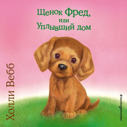 Скачать книгу Щенок Фред, или Уплывший дом