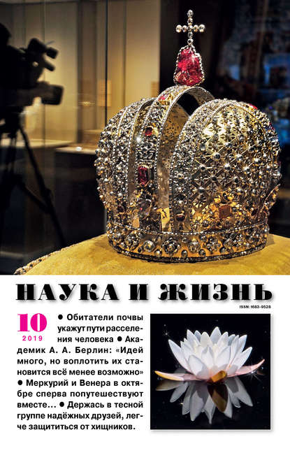 Скачать книгу Наука и жизнь №10/2019