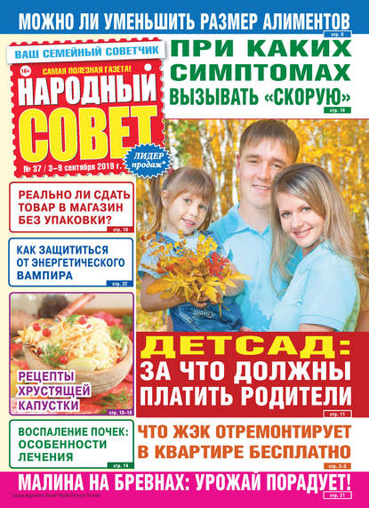 Скачать книгу Народный совет №37/2019