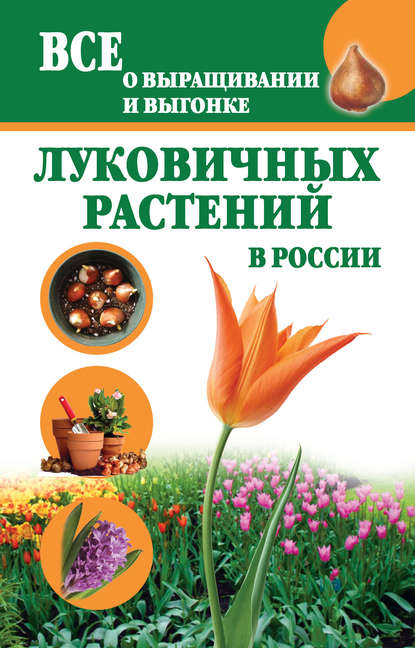 Скачать книгу Все о выращивании и выгонке луковичных растений в России