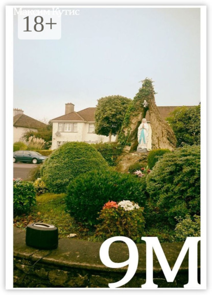 Скачать книгу 9M