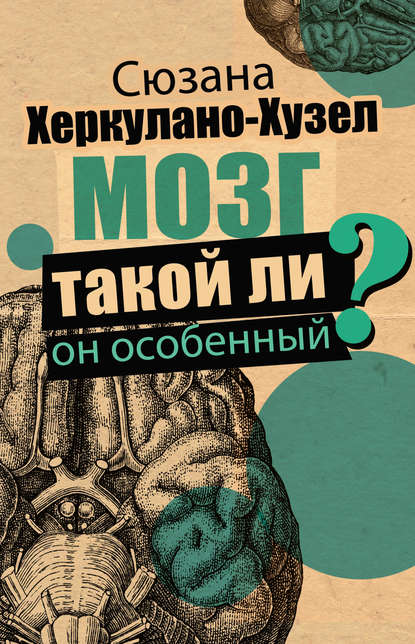 Скачать книгу Мозг. Такой ли он особенный?