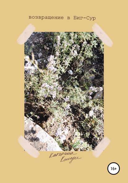 Скачать книгу Возвращение в Биг-Сур