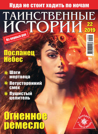 Скачать книгу Таинственные истории №22/2019
