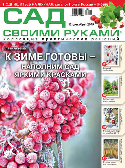 Скачать книгу Сад своими руками №12/2019