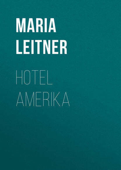 Скачать книгу Hotel Amerika