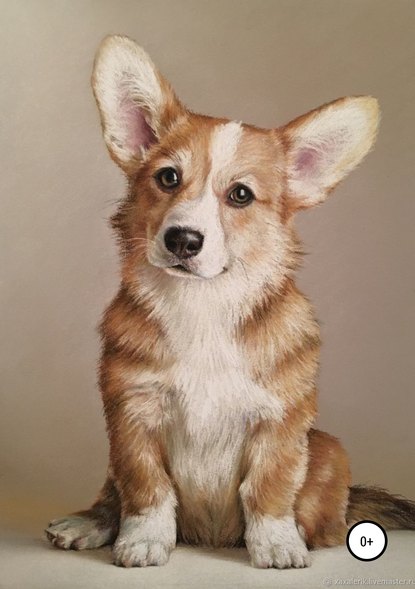 Скачать книгу История одной собачки