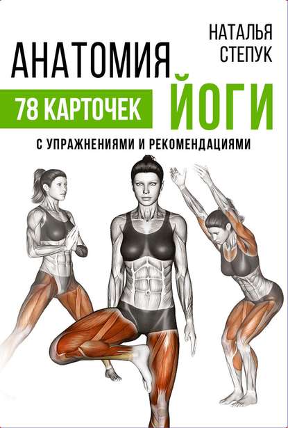 Скачать книгу Анатомия йоги. 78 карточек с упражнениями и рекомендациями