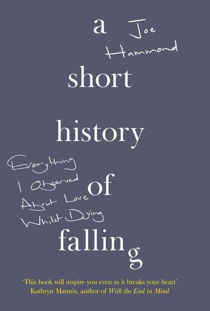 Скачать книгу A Short History of Falling: Everything I Observed About Love Whilst Dying