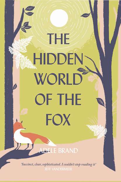 Скачать книгу The Hidden World of the Fox