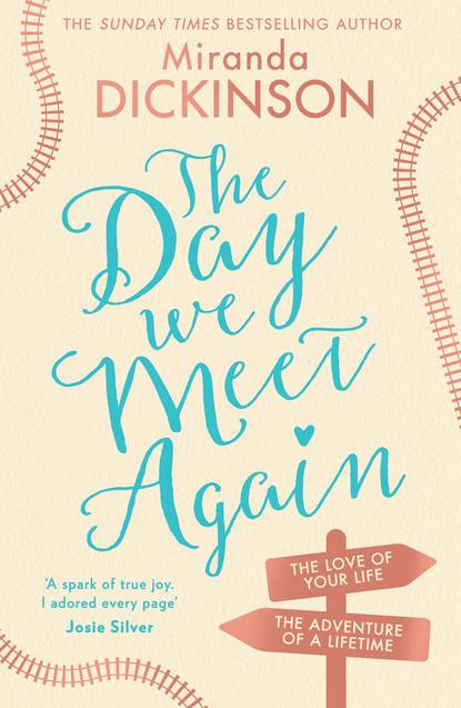Скачать книгу The Day We Meet Again