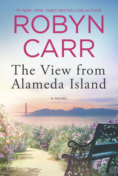 Скачать книгу The View From Alameda Island