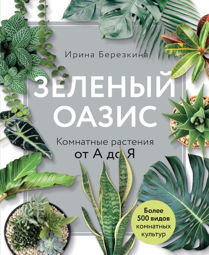 Скачать книгу Зеленый оазис. Комнатные растения от А до Я