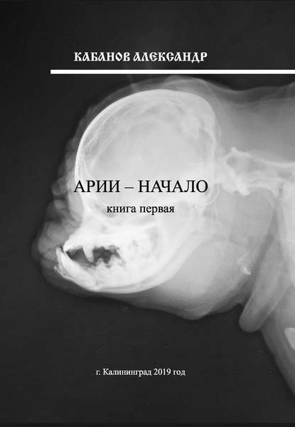 Скачать книгу Арии – начало. Книга 1