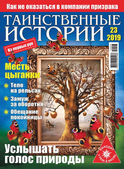 Скачать книгу Таинственные истории №23/2019