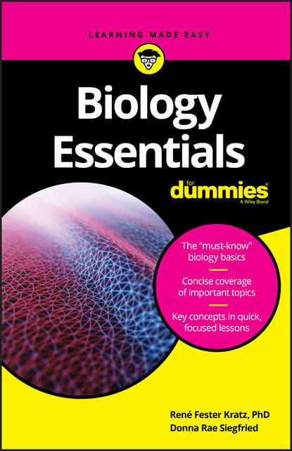 Скачать книгу Biology Essentials For Dummies