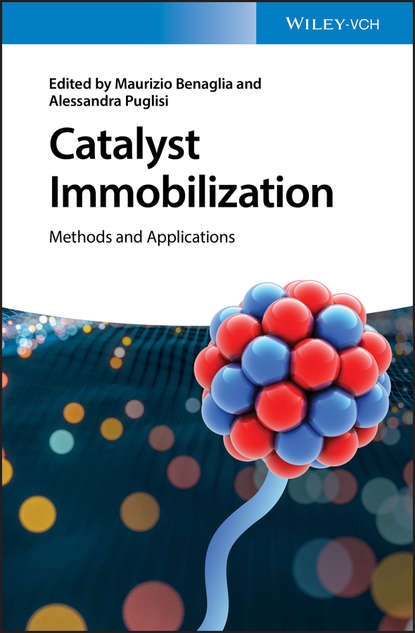 Скачать книгу Catalyst Immobilization