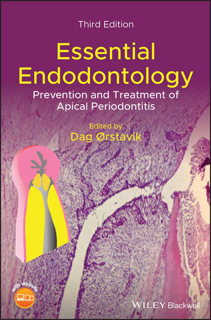 Скачать книгу Essential Endodontology