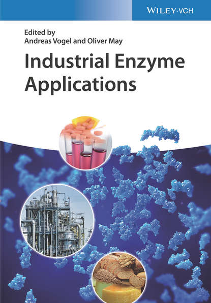 Скачать книгу Industrial Enzyme Applications