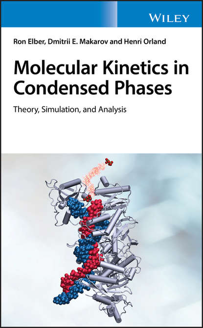Скачать книгу Molecular Kinetics in Condensed Phases