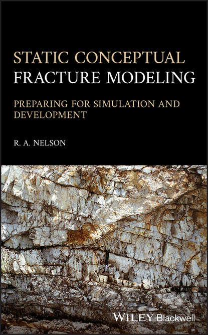 Скачать книгу Static Conceptual Fracture Modeling
