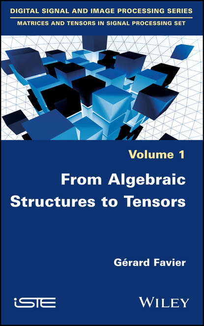 Скачать книгу From Algebraic Structures to Tensors