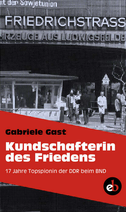 Скачать книгу Kundschafterin des Friedens