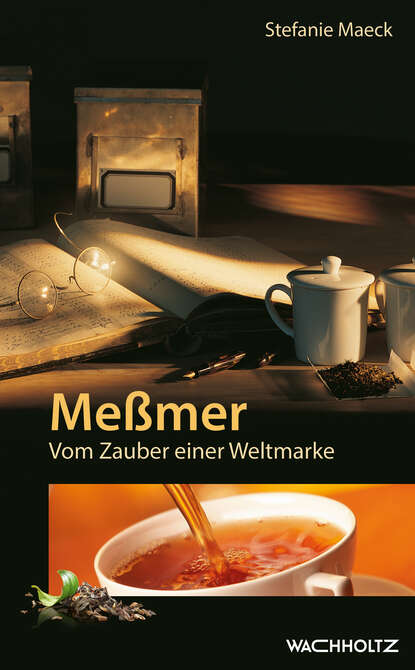Скачать книгу Meßmer