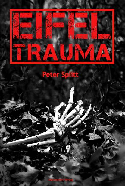 Скачать книгу Eifel-Trauma