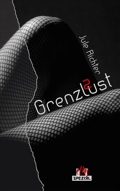 Скачать книгу GrenzLust 2