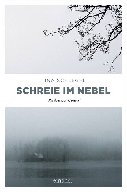 Скачать книгу Schreie im Nebel