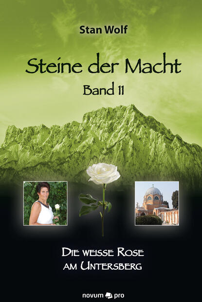 Скачать книгу Steine der Macht – Band 11