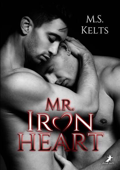 Скачать книгу Mr. Ironheart