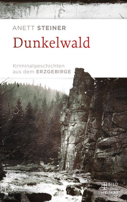 Скачать книгу Dunkelwald