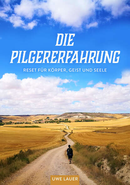 Скачать книгу Die Pilgererfahrung