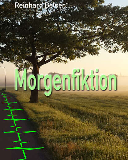 Скачать книгу Morgenfiktion