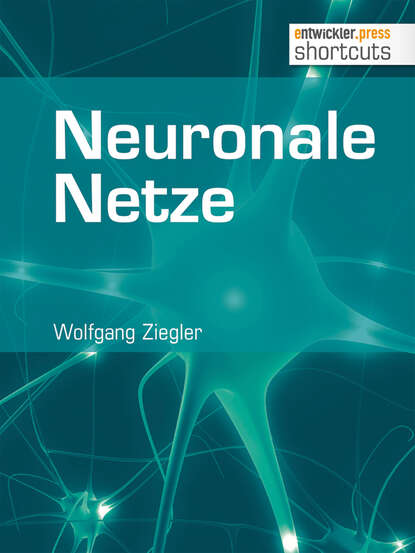 Скачать книгу Neuronale Netze