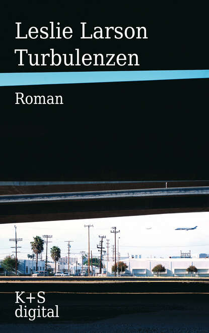 Скачать книгу Turbulenzen