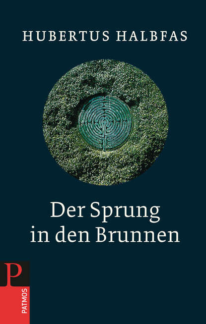 Скачать книгу Der Sprung in den Brunnen