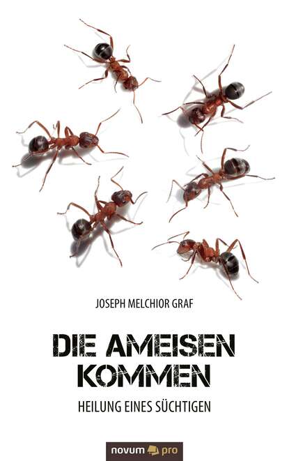Скачать книгу Die Ameisen kommen