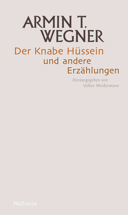 Скачать книгу Der Knabe Hüssein und andere Erzählungen