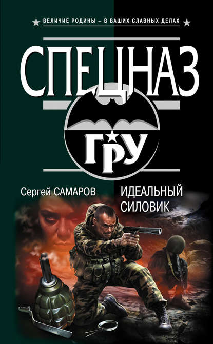 Скачать книгу Идеальный силовик