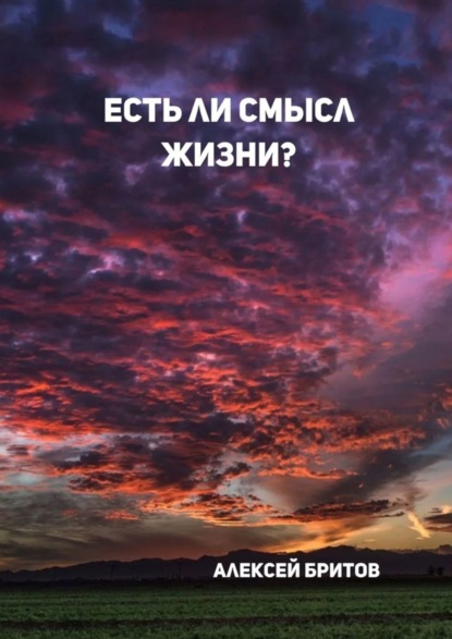 Скачать книгу Есть ли смысл жизни?