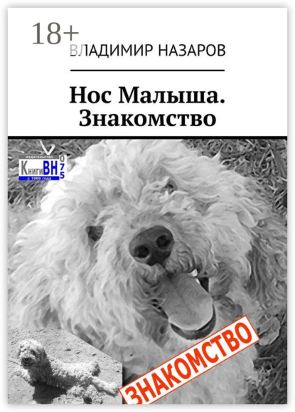 Скачать книгу Нос Малыша. Знакомство