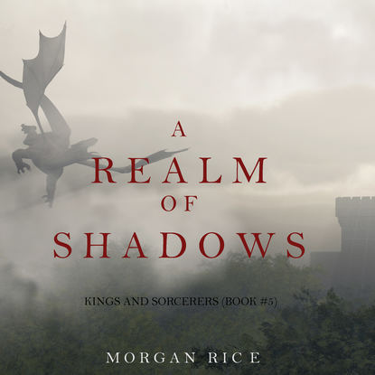 Скачать книгу A Realm of Shadows