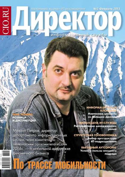 Скачать книгу Директор информационной службы №02/2013