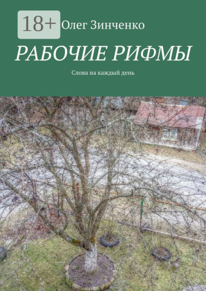 Скачать книгу Рабочие рифмы. Слова на каждый день